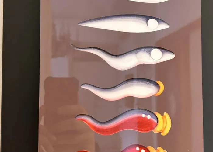 Gæstehus Faleron Santa Lucia